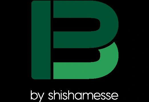 P13 by shishamesse